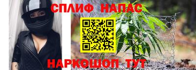 сатива Ирбит